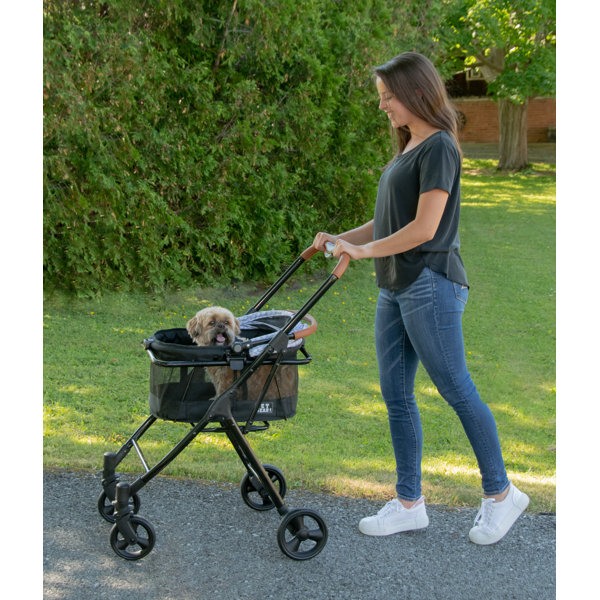 Pet Gear Folding Standard Stroller with Detachable Carrier & Reviews